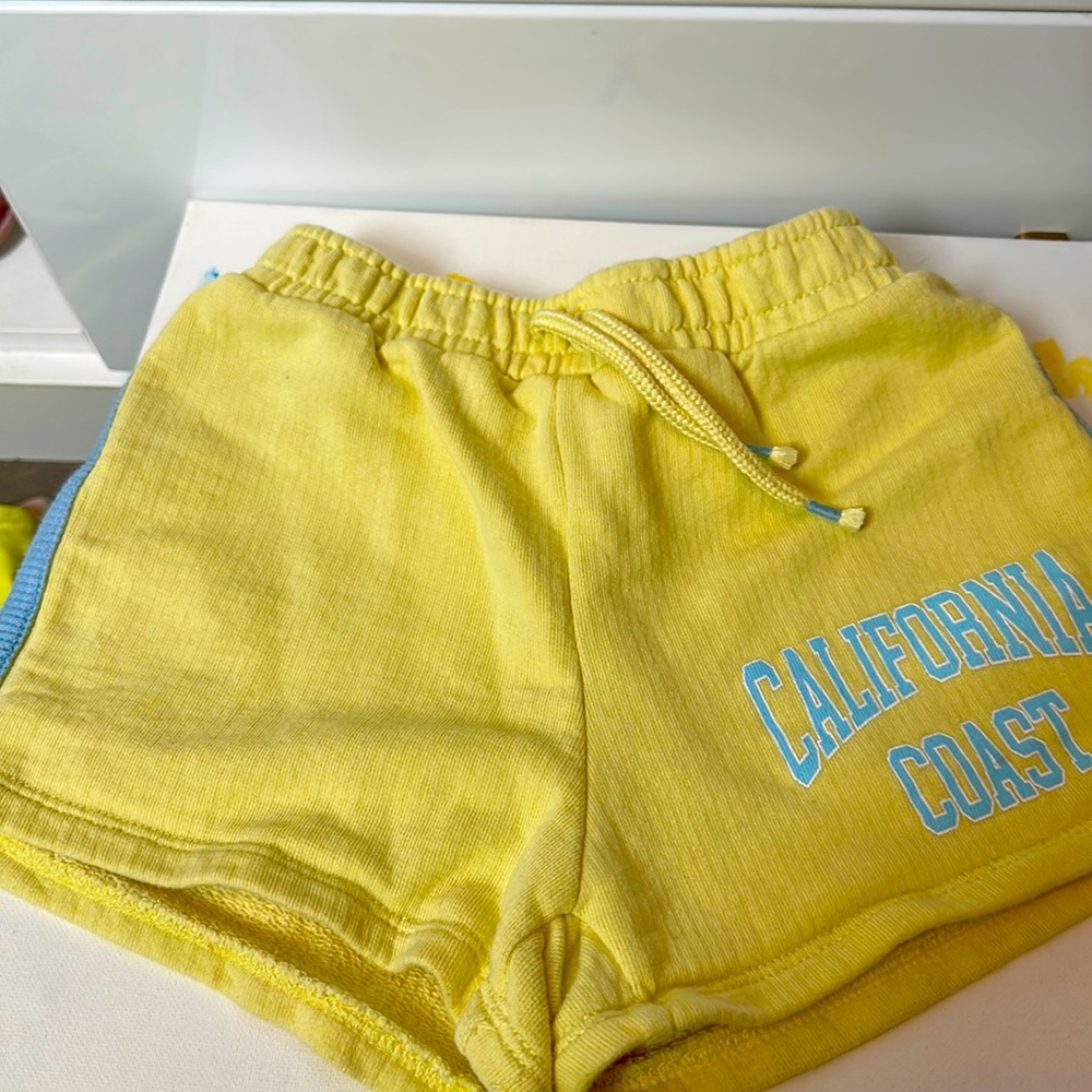 Zara Plush Shorts with gathered elastic waist